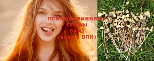 2c-b Богородицк