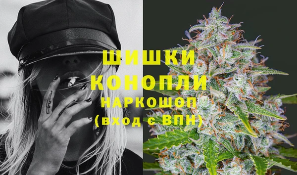 спиды Богородск