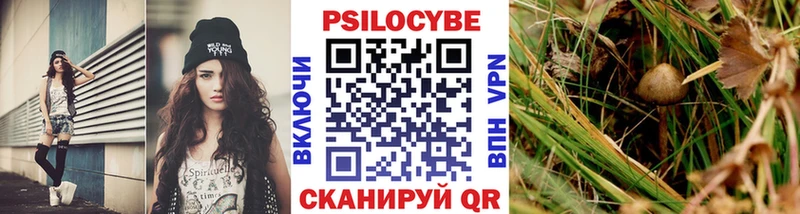 Галлюциногенные грибы мицелий  Можайск 